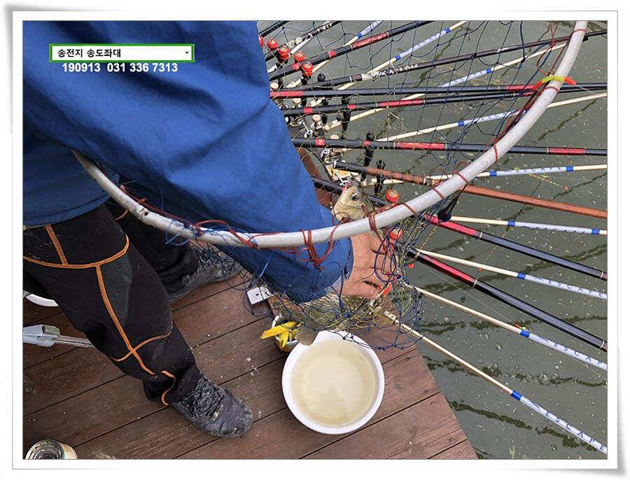 가을 덩어리 낚기 (유료터정보 - 유료터점주조황)