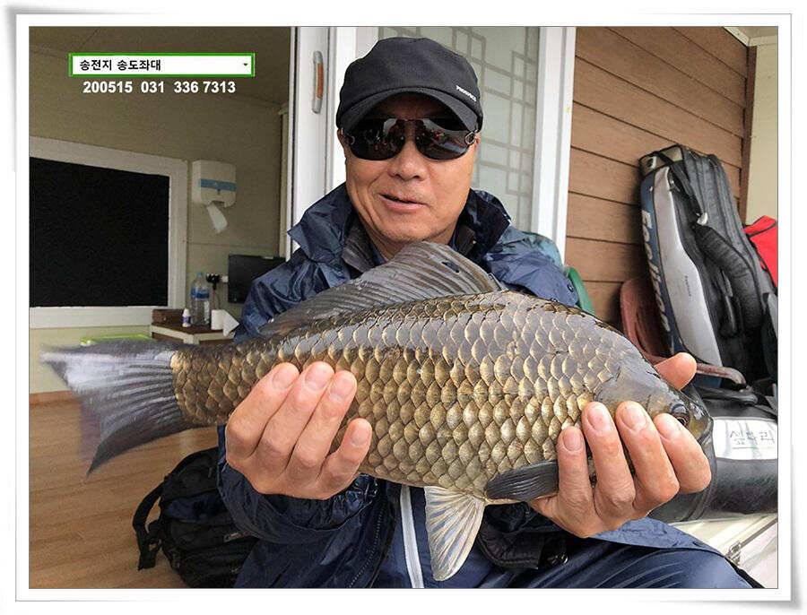 42cm송전지 송도집 좌대 조황 (유료터정보 - 유료터점주조황)