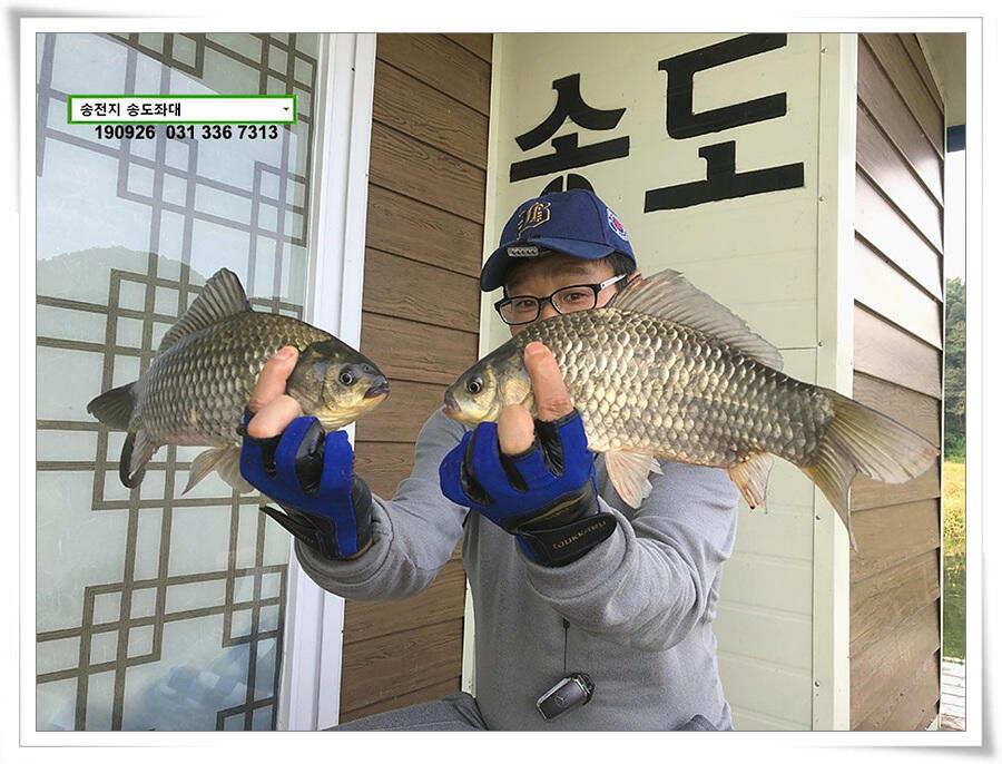 가을 수확 (유료터정보 - 유료터점주조황)