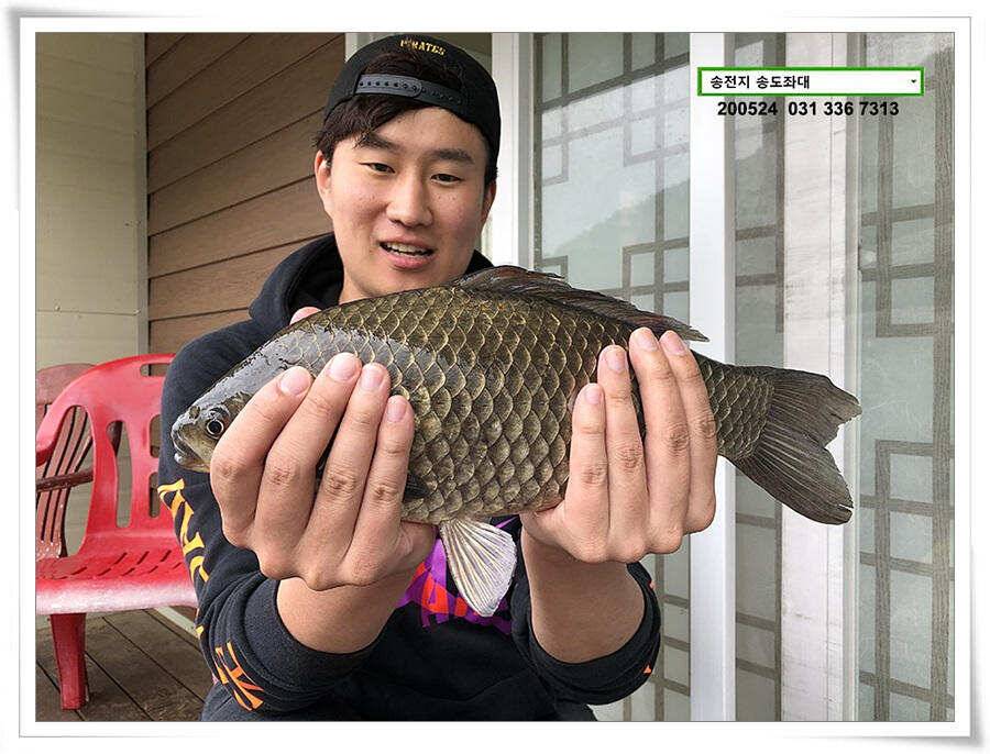 거꾸로 가는 송전지 시계 (유료터정보 - 유료터점주조황)