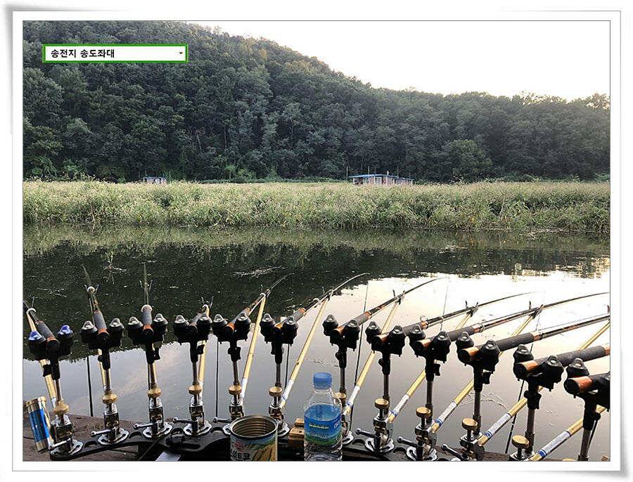 연휴 끝에 가을 볕 (유료터정보 - 유료터점주조황)