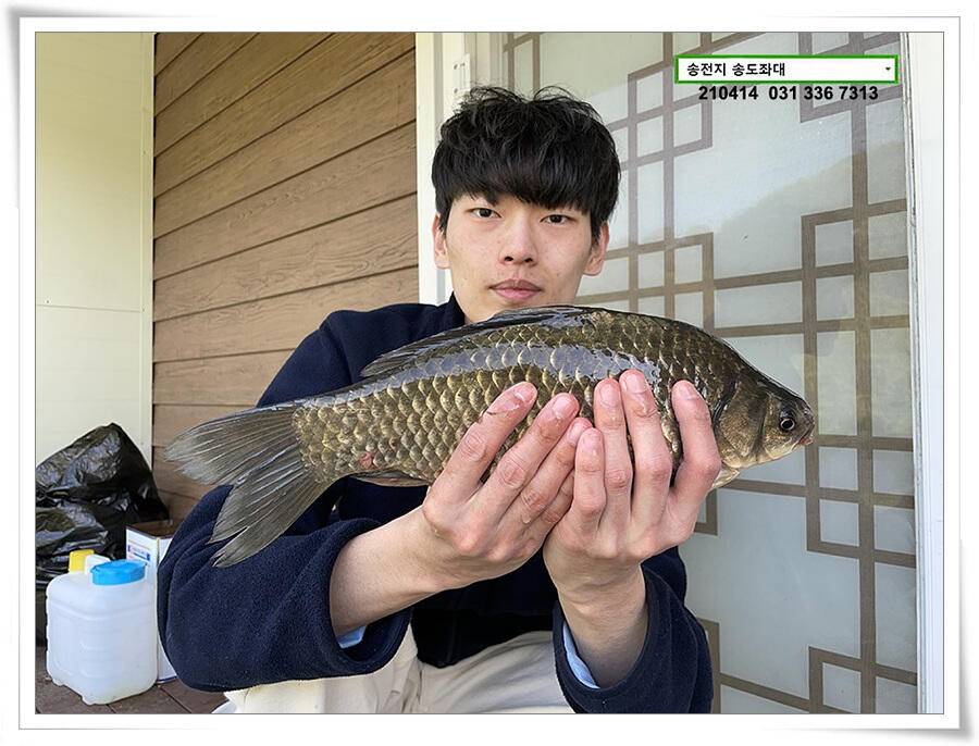 덩어리 놀음송전지 송도집 좌대 조황 (유료터정보 - 유료터점주조황)