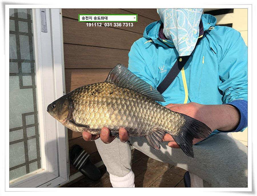 옥수수 맛집 (유료터정보 - 유료터점주조황)