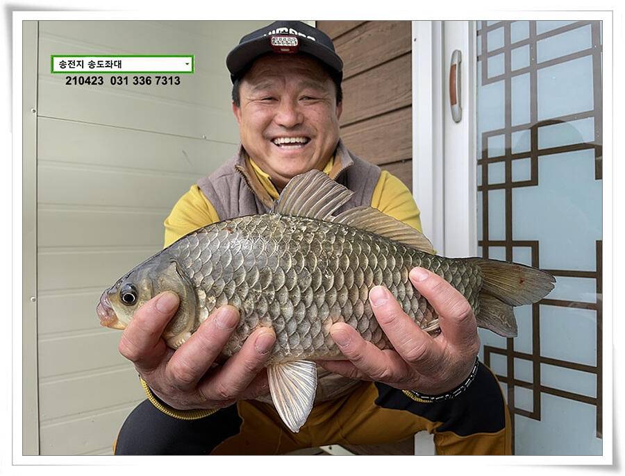 4짜의 산란 ing송전지 송도좌대 조황 (유료터정보 - 유료터점주조황)