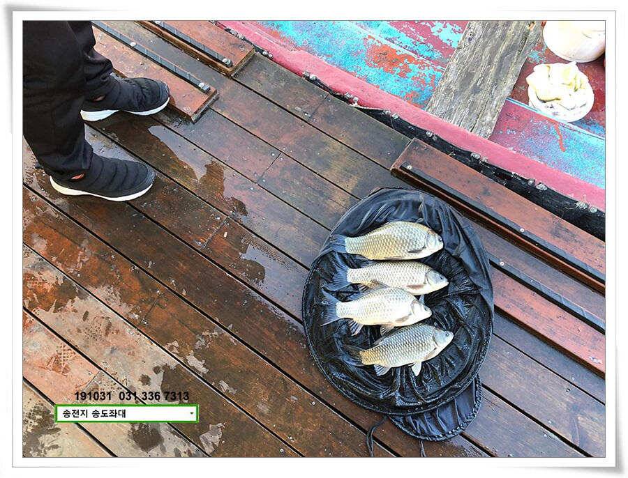 시즌 막바지 (유료터정보 - 유료터점주조황)