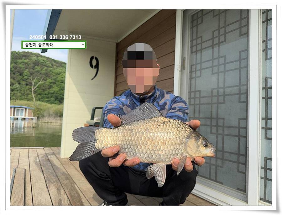 계절의 여왕 5월 첫 덩어리 (유료터정보 - 유료터점주조황)