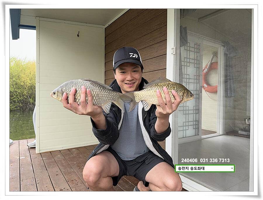 덩어리의 산란 (유료터정보 - 유료터점주조황)