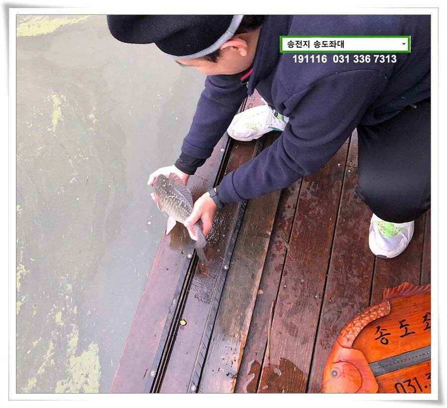 마지막 덩어리 (유료터정보 - 유료터점주조황)