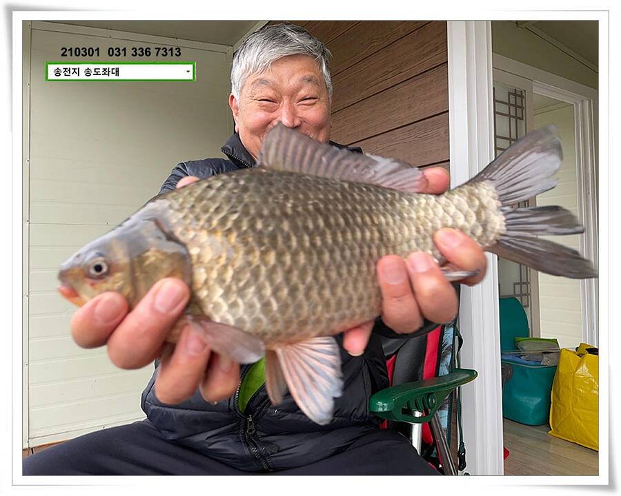 봄 볕 받아내는 송전지 송도좌대 조황 (유료터정보 - 유료터점주조황)
