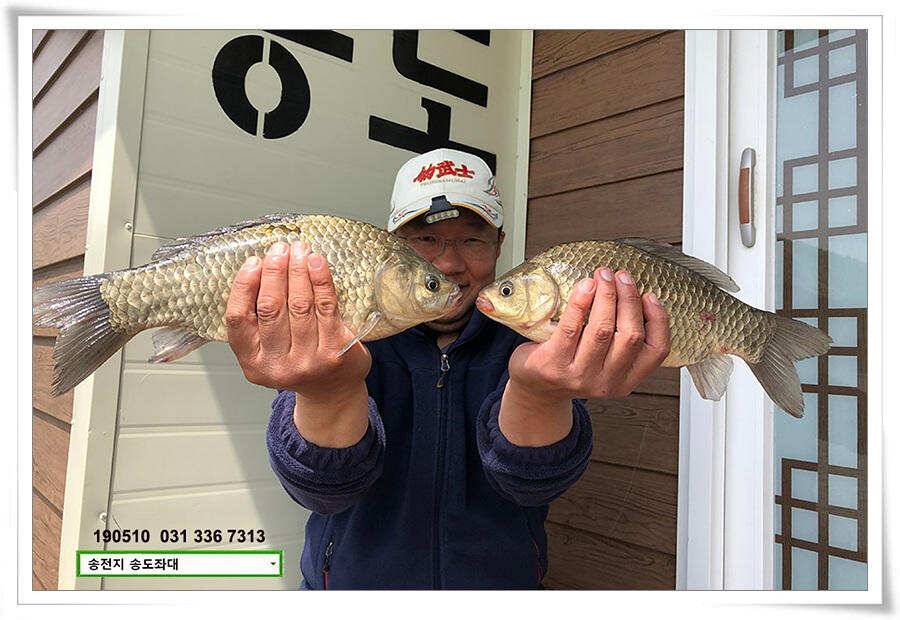 송전낚시터 송도좌대 조황 (유료터정보 - 유료터점주조황)