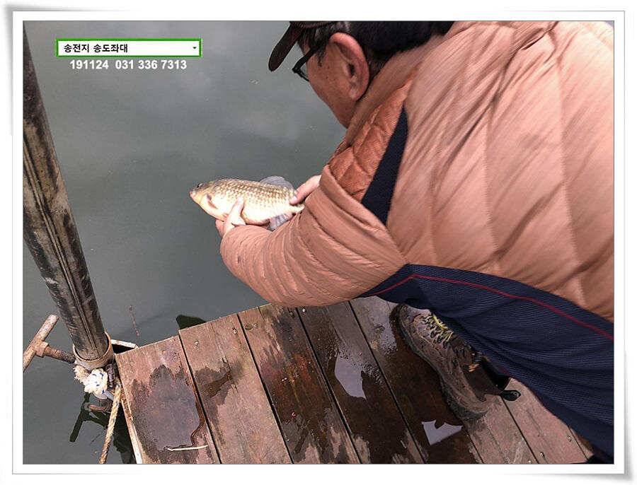 11월의 어느 멋진 날에 (유료터정보 - 유료터점주조황)