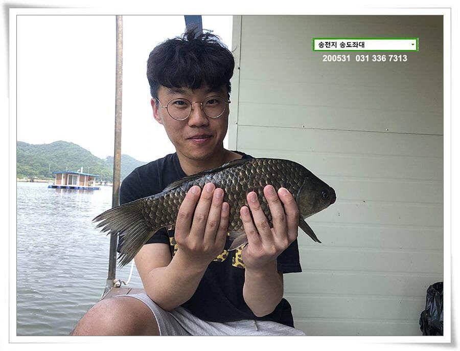 2차 직딩의 난송전지 송도좌대 조황 (유료터정보 - 유료터점주조황)