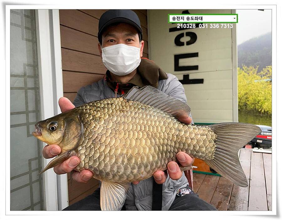 바람과 구름과 4짜 송전지 송도집 좌대 조황 (유료터정보 - 유료터점주조황)
