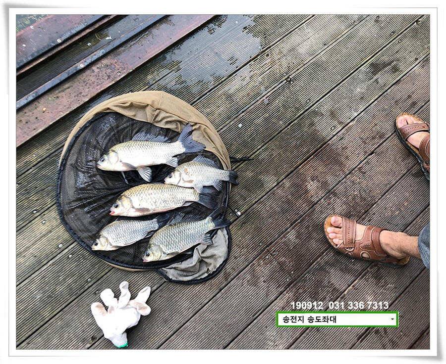 만월 닮아가기 (유료터정보 - 유료터점주조황)