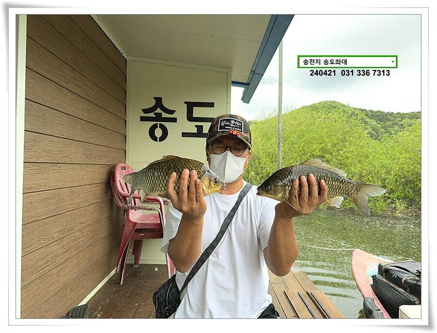 봄 비에 마릿수 (유료터정보 - 유료터점주조황)