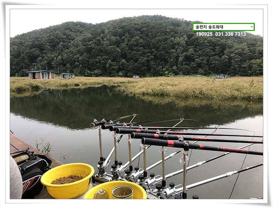 스멀스멀 (유료터정보 - 유료터점주조황)