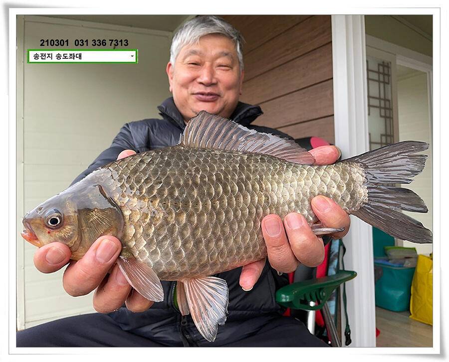 봄 볕 받아내는 송전지 송도좌대 조황 (유료터정보 - 유료터점주조황)