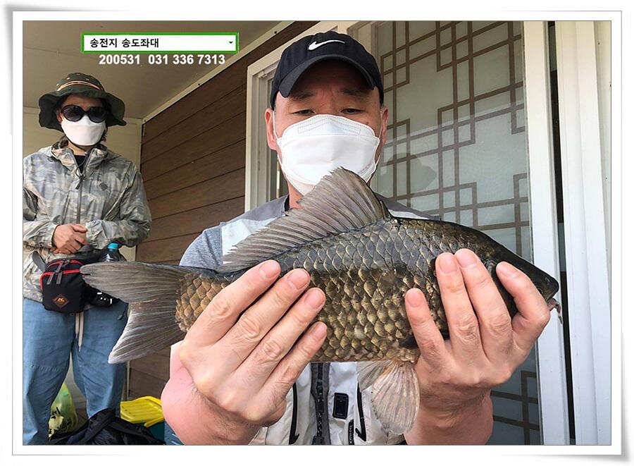 2차 직딩의 난송전지 송도좌대 조황 (유료터정보 - 유료터점주조황)