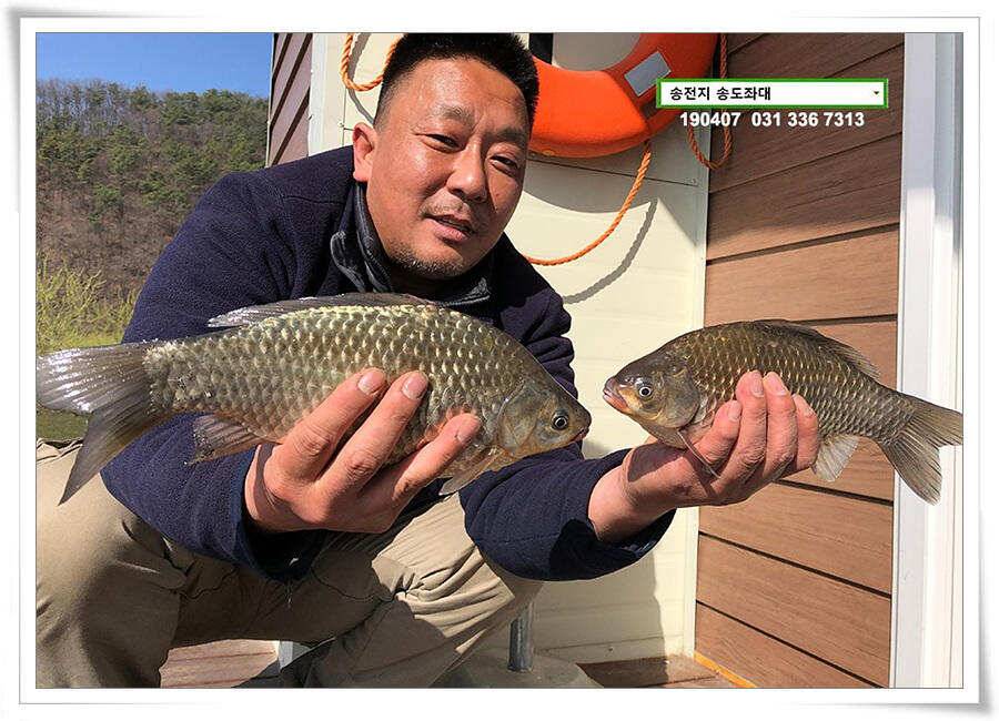 다시 빌드업 나선 송도좌대 조황 (유료터정보 - 유료터점주조황)