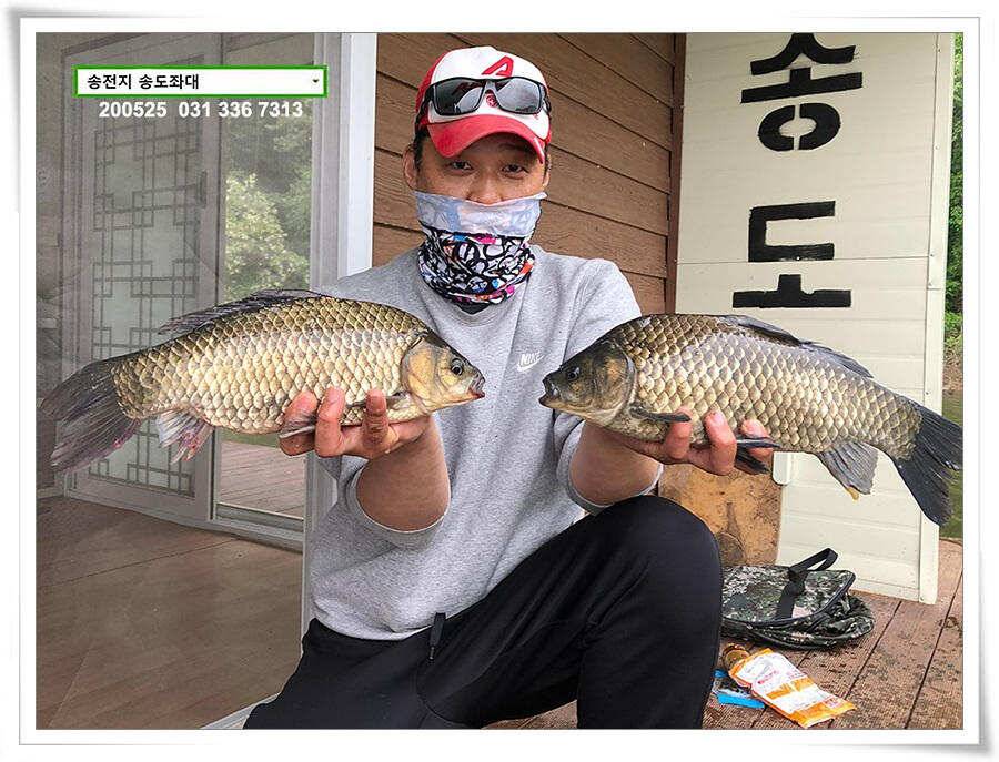 42cm송전지 송도집 좌대 조황 (유료터정보 - 유료터점주조황)