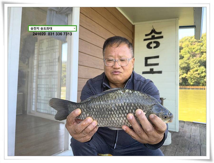 안정된 오름세 (유료터정보 - 유료터점주조황)