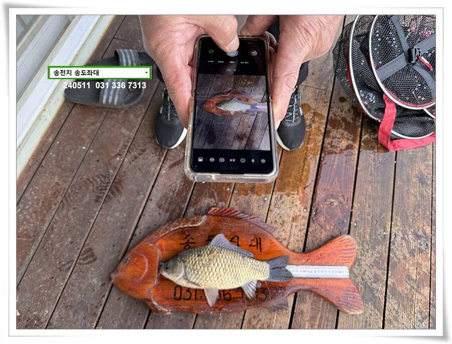 허리급 마릿수 (유료터정보 - 유료터점주조황)