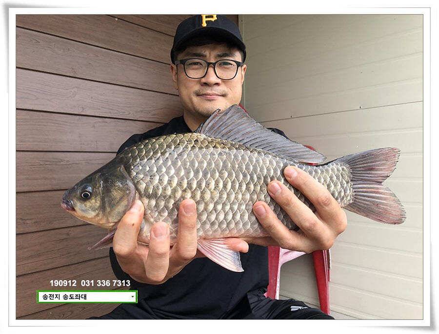 만월 닮아가기 (유료터정보 - 유료터점주조황)