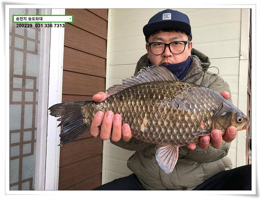 4짜 참전하는 송전지 송도좌대 조황 (유료터정보 - 유료터점주조황)