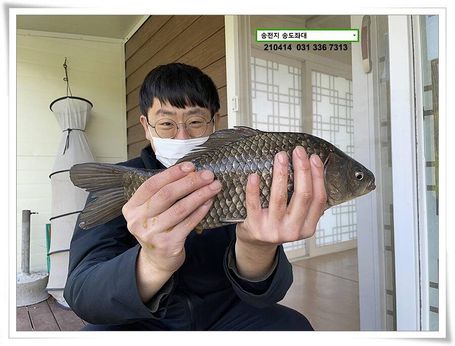 덩어리 놀음송전지 송도집 좌대 조황 (유료터정보 - 유료터점주조황)