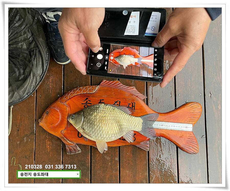바람과 구름과 4짜 송전지 송도집 좌대 조황 (유료터정보 - 유료터점주조황)
