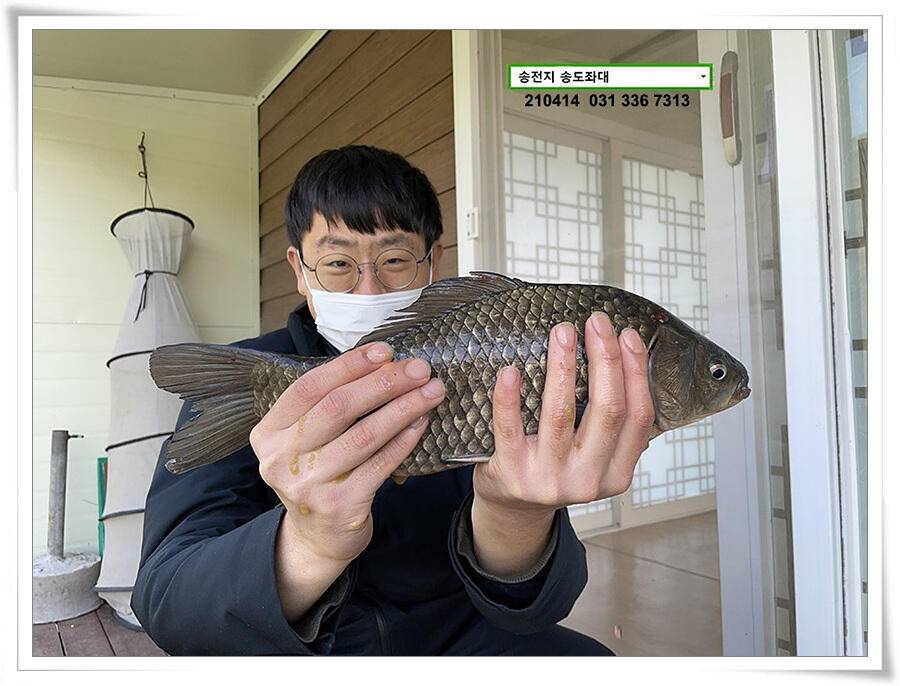 덩어리 놀음송전지 송도집 좌대 조황 (유료터정보 - 유료터점주조황)