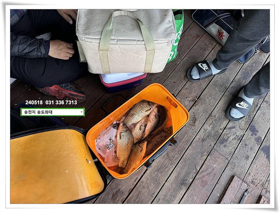 주말 휴일 조황 (유료터정보 - 유료터점주조황)