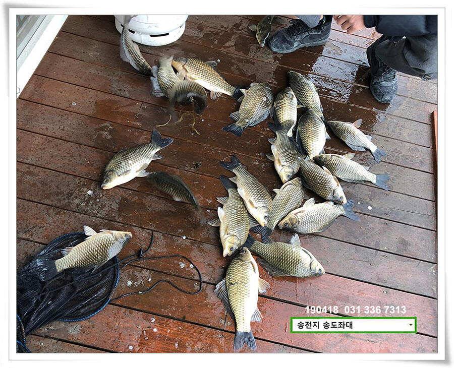 꽃피는 봄이 오면 (유료터정보 - 유료터점주조황)