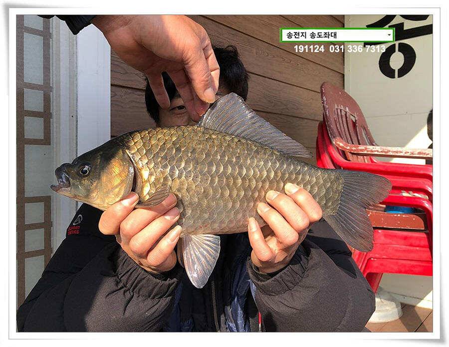 11월의 어느 멋진 날에 (유료터정보 - 유료터점주조황)