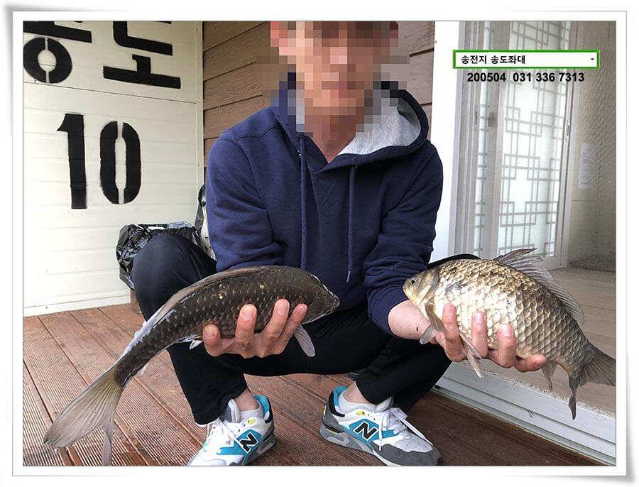 송전지 송도좌대 연휴조황 (유료터정보 - 유료터점주조황)
