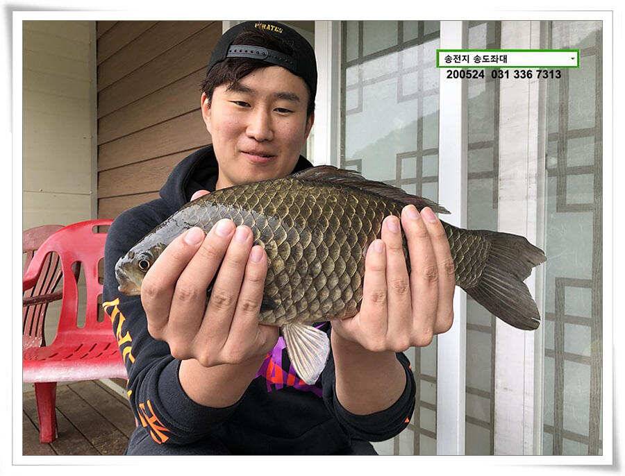 거꾸로 가는 송전지 시계 (유료터정보 - 유료터점주조황)