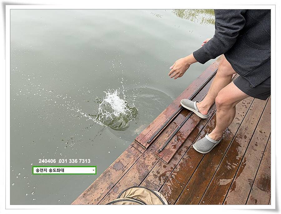 덩어리의 산란 (유료터정보 - 유료터점주조황)