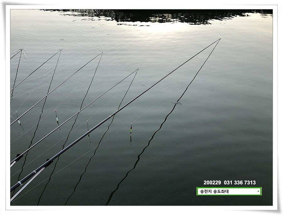 4짜 참전하는 송전지 송도좌대 조황 (유료터정보 - 유료터점주조황)