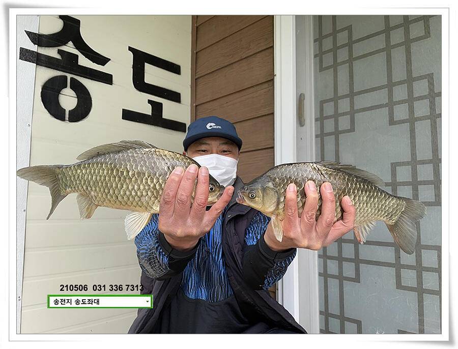 풍파에도 허리급송전지 송도좌대 조황 (유료터정보 - 유료터점주조황)