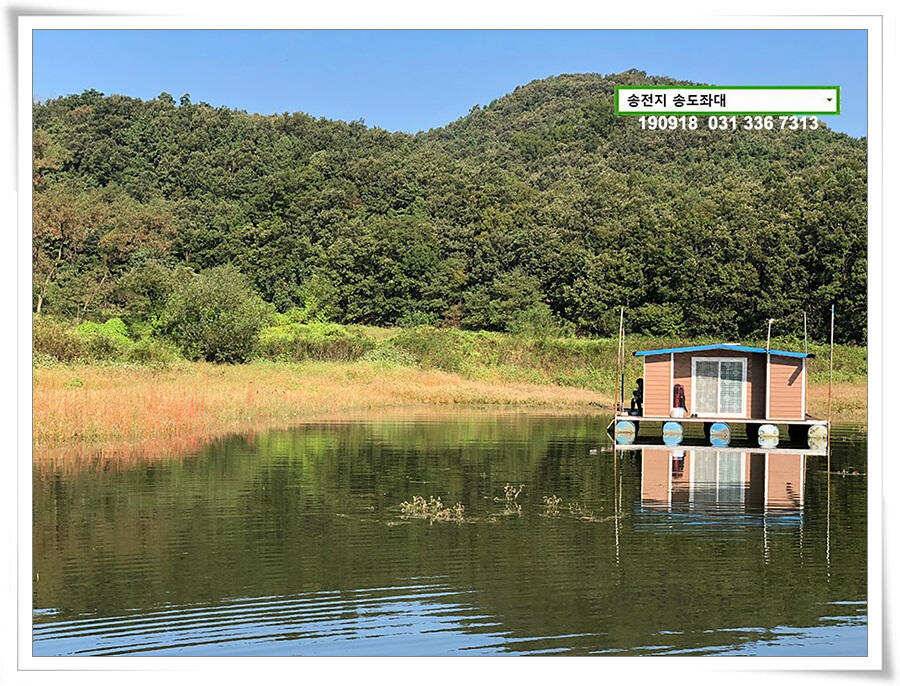 전투배치 (유료터정보 - 유료터점주조황)