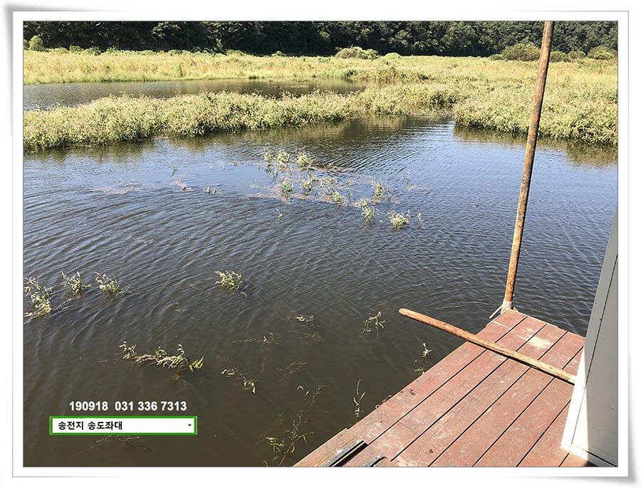 추분 지나는 가을 저수지 (유료터정보 - 유료터점주조황)