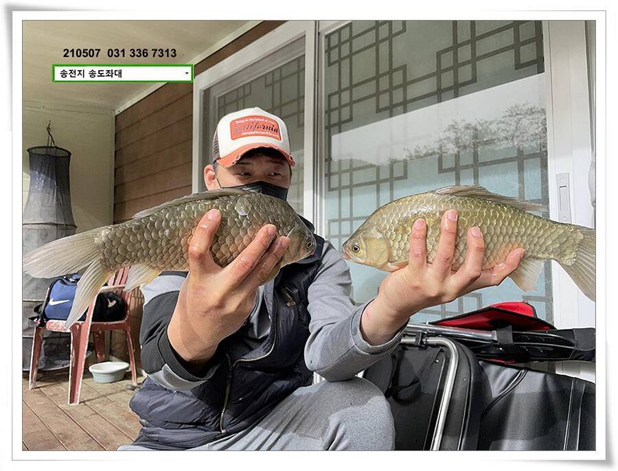 풍파에도 허리급송전지 송도좌대 조황 (유료터정보 - 유료터점주조황)