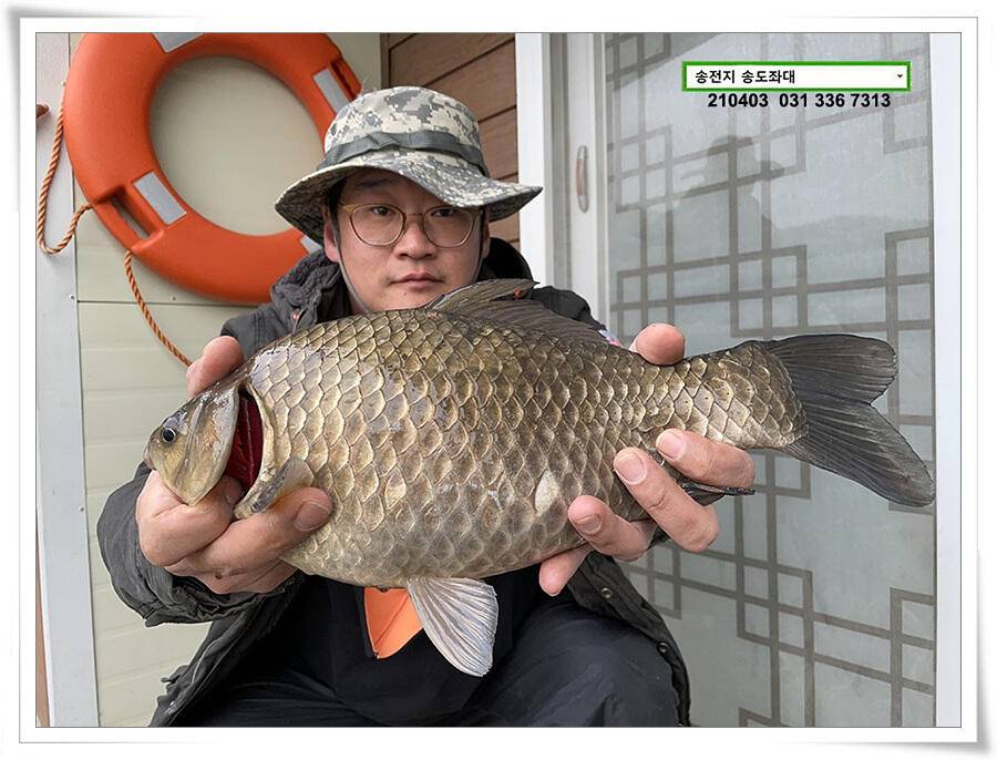 매일 그대와 송전지 송전낚시터 송도좌대 조황 (유료터정보 - 유료터점주조황)