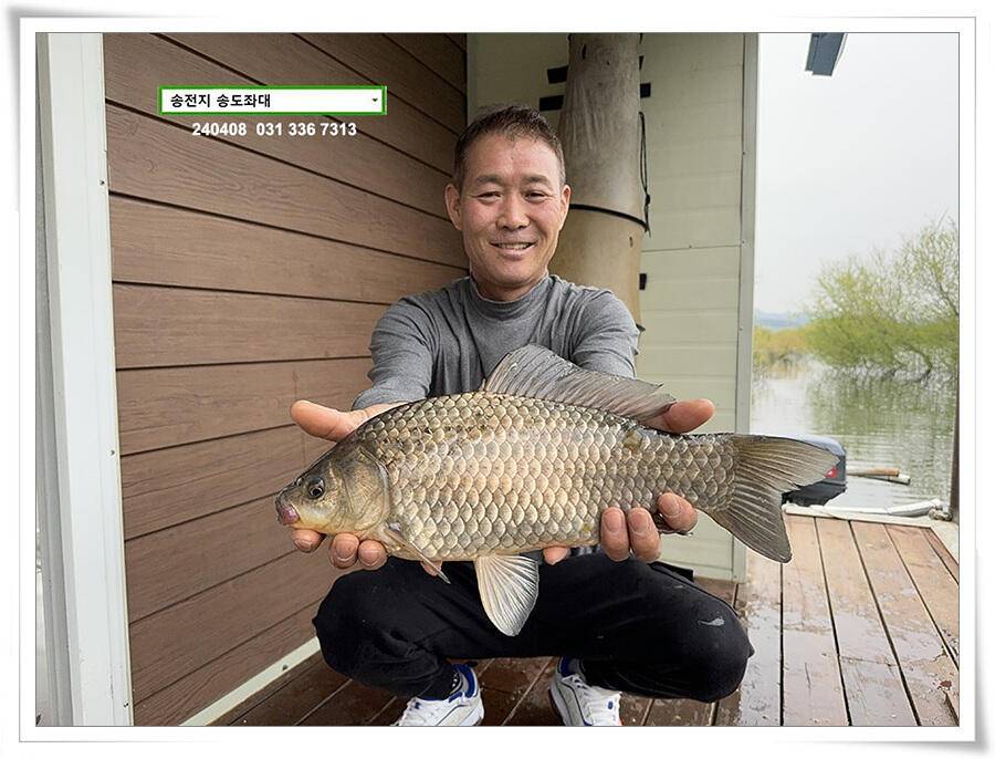 4짜 혹은 마릿수 (유료터정보 - 유료터점주조황)