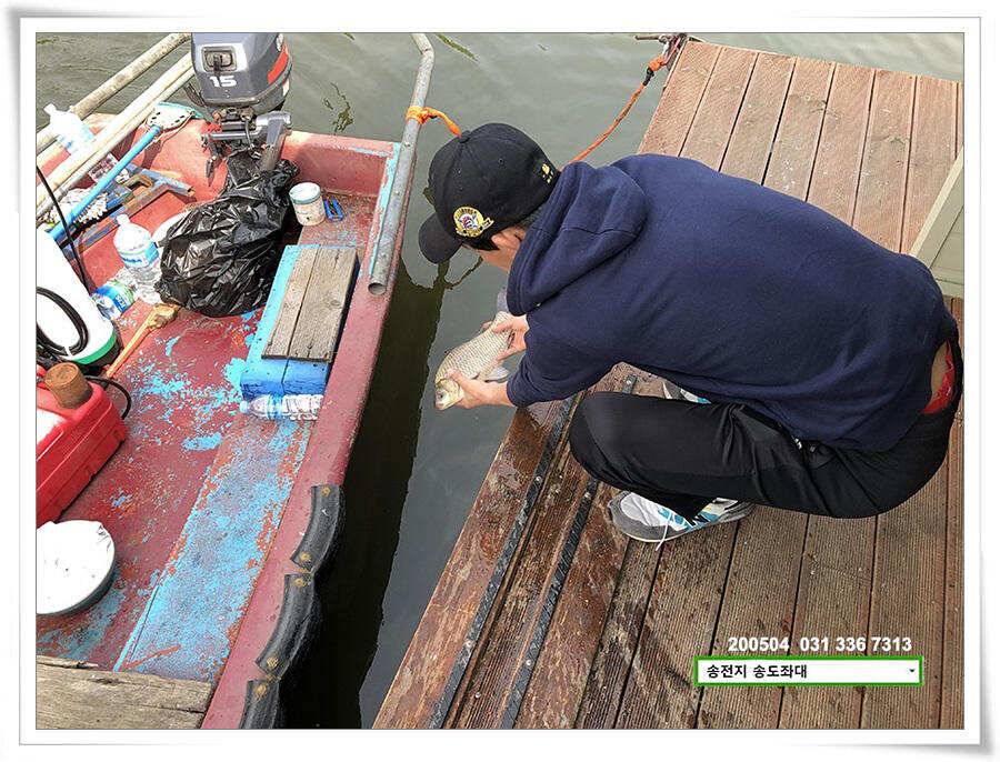 송전지 송도좌대 연휴조황 (유료터정보 - 유료터점주조황)