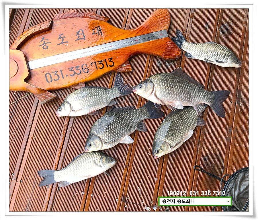 만월 닮아가기 (유료터정보 - 유료터점주조황)