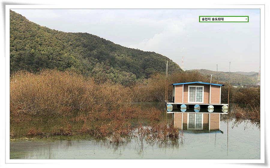 시즌 막바지 (유료터정보 - 유료터점주조황)