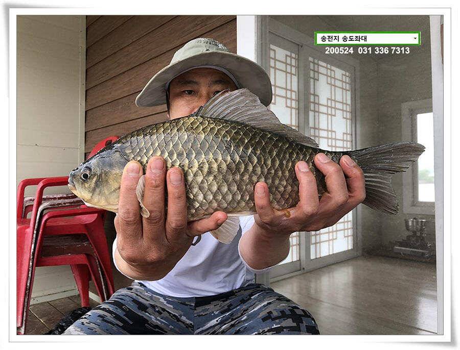 거꾸로 가는 송전지 시계 (유료터정보 - 유료터점주조황)