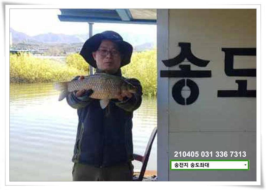 송전지 송전낚시터 송도좌대 조황 (유료터정보 - 유료터점주조황)