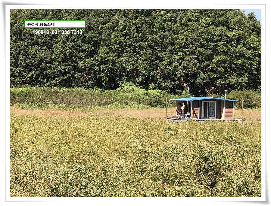 전투배치 (유료터정보 - 유료터점주조황)